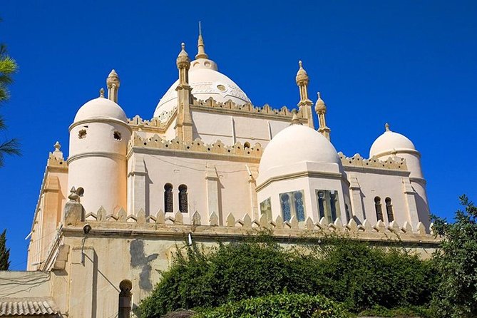 Carthage Discovery Half-Day Tour With Licensed Guide - Pricing Details