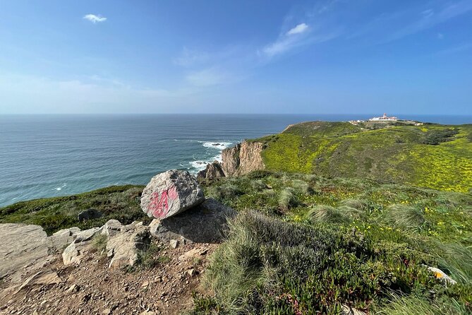Cascais-Sintra E-Bike Tour: Discover Its Natural Beauty - Accommodating and Knowledgeable Host
