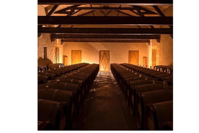 Castel Wine Tour in Bordeaux Margaux - Vineyard Views and Photography