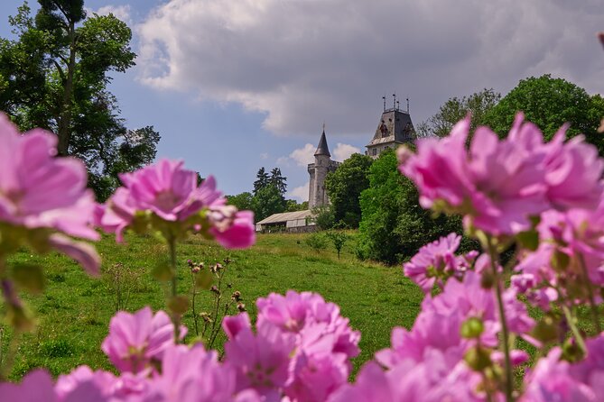 Castle Guided Tour (English) - Cancellation and Refund Policy
