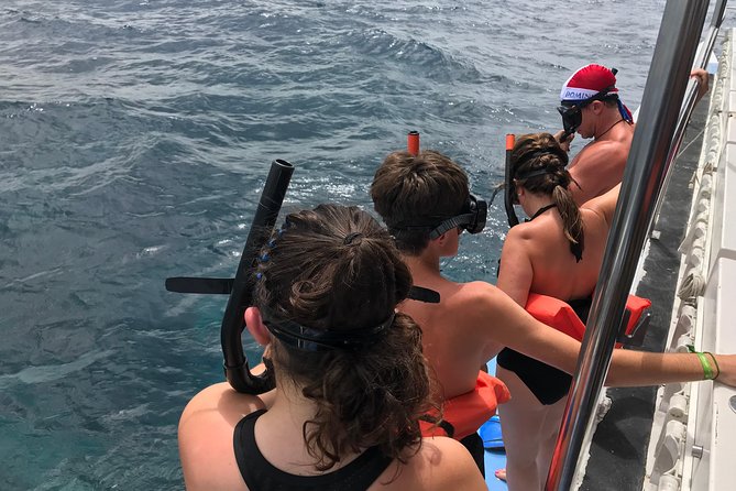 Catalina Island and Snorkeling Tour - Snorkeling Experience
