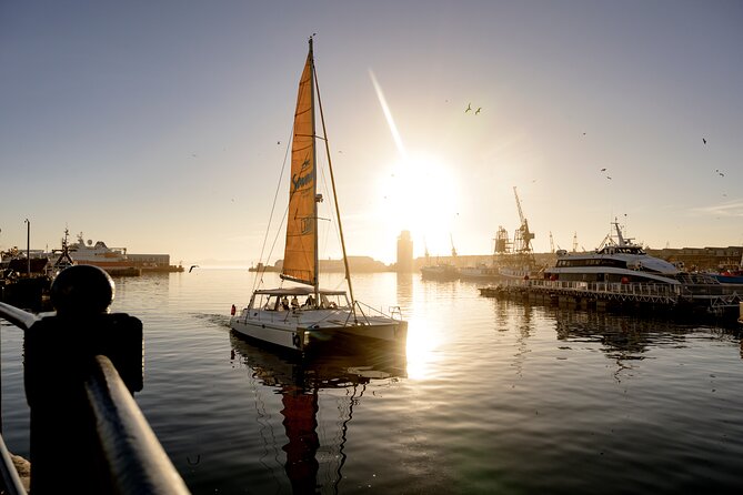 Catamaran Cruise in Cape Town - Highlights of the Cruise