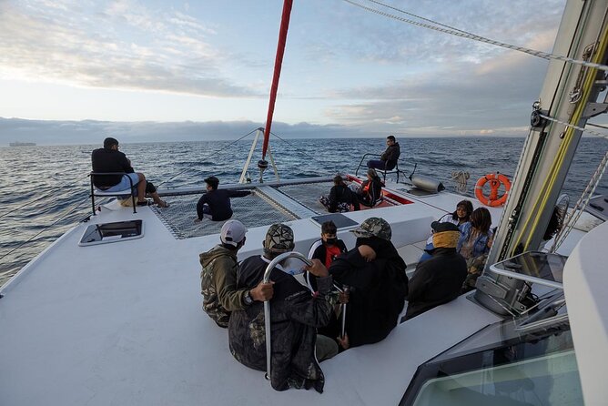 Catamaran Sunset Champagne Cruise Cape Town - What to Expect