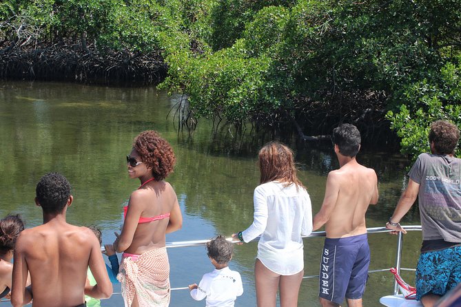 Cayo Arena Catamaran Cruise From Puerto Plata With Lunch - Mixed Reviews and Satisfaction