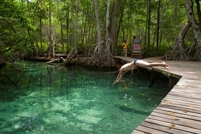 Celestun Beach and Mangrove Boat Ride From Merida - Customer Experiences