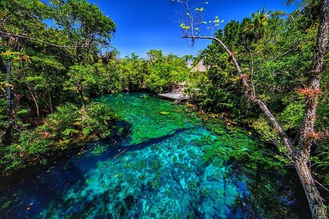 Cenotes, Zip Lines and Mayan Community - Accessibility and Transportation