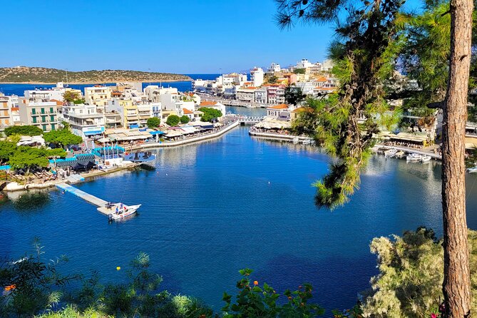 Central Crete Private Food Tour With Wine Tastings  - Heraklion - Tour Accessibility and Eligibility