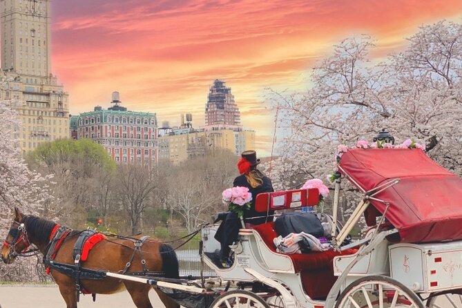 Central Park Horse and Carriage Rides - Accessibility Features
