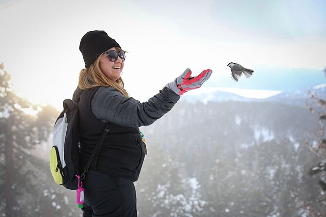 Chickadee Ridge Beginner Snowshoe Activity - Experience Overview and Highlights