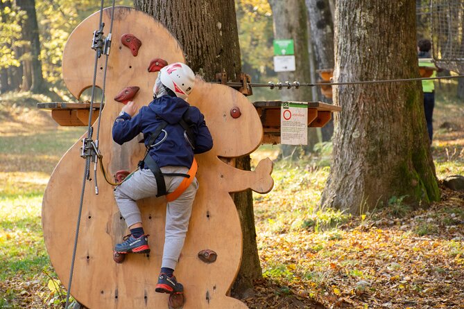 Children Daily Ticket for Adventure Park in Gravedona - Booking Process