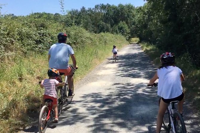 Chinon Wine Tour by Bike With Picnic Lunch - Cancellation and Refund Policy