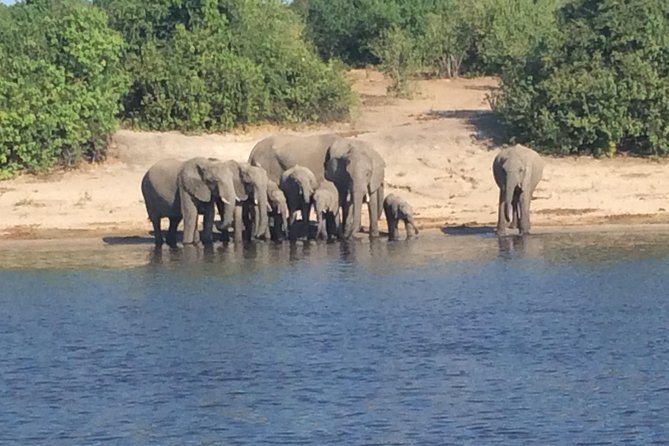 Chobe Full Day Trip - Frequently Asked Questions