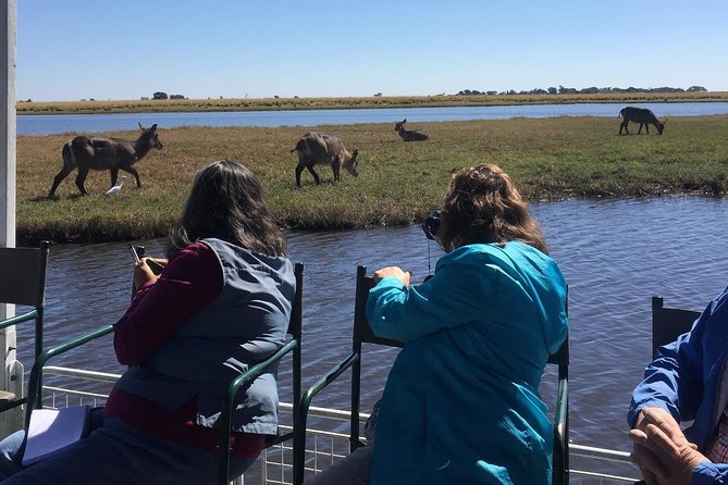 Chobe Half Day Trip - Tour Schedule
