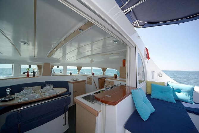 Christmas River Cruise With Typical Cake and Liquor - Scenic Sights Along the Tagus