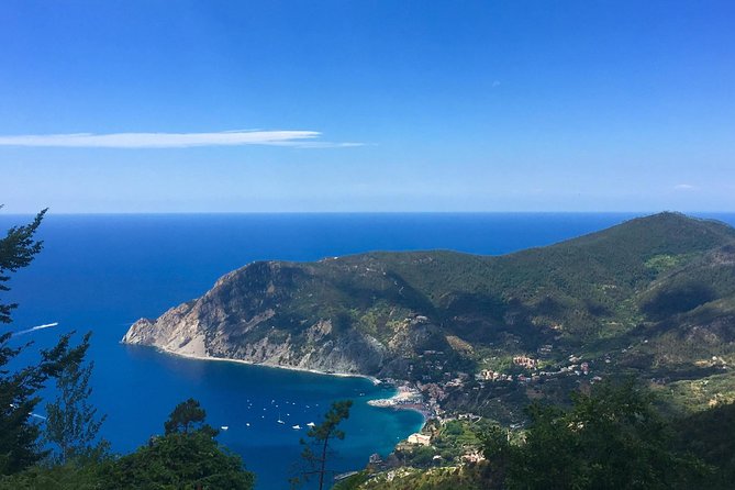 Cinque Terre Private Tour From La Spezia - Inclusions and Requirements