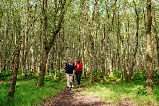 City Escape: Glendalough & Kilkenny Private Day Trip - Highlights of the Private Day Trip