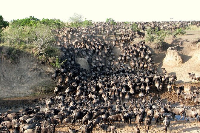 Classic Best of Kenya - Highlights of the Itinerary