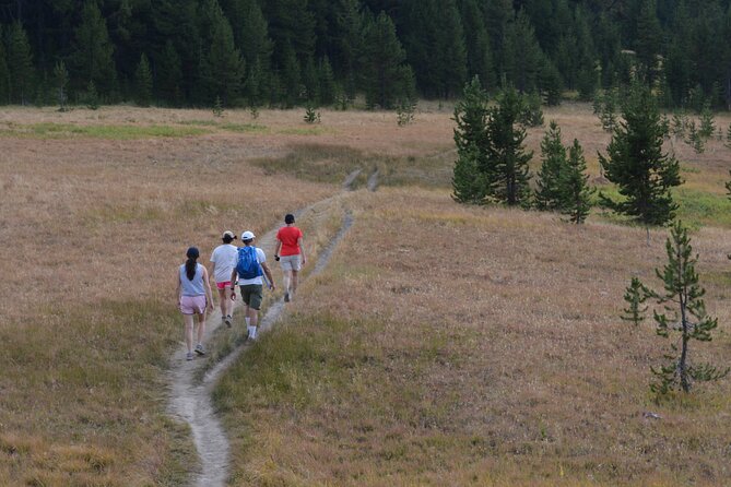 Classic Yellowstone Hike to the Shores of Lake Shoshone (Private up to 8 People) - Booking Process and Confirmation