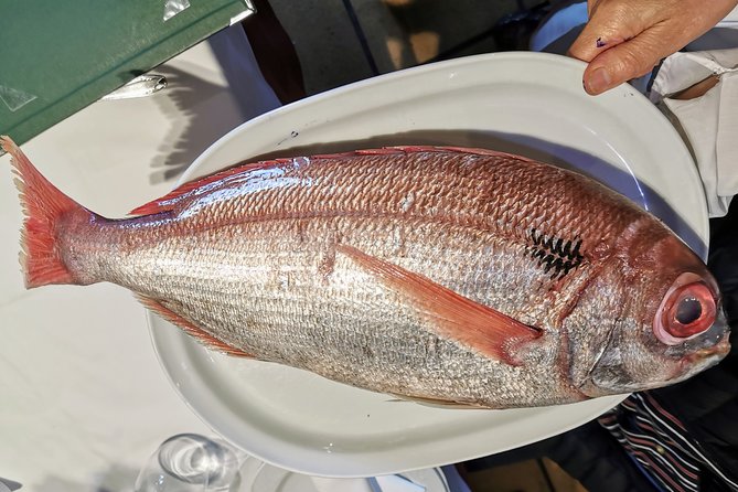 CLIFFS, GRILLED FISH and TXAKOLI WINE - Private Gastronomic Adventure - Cancellation and Refund Policy