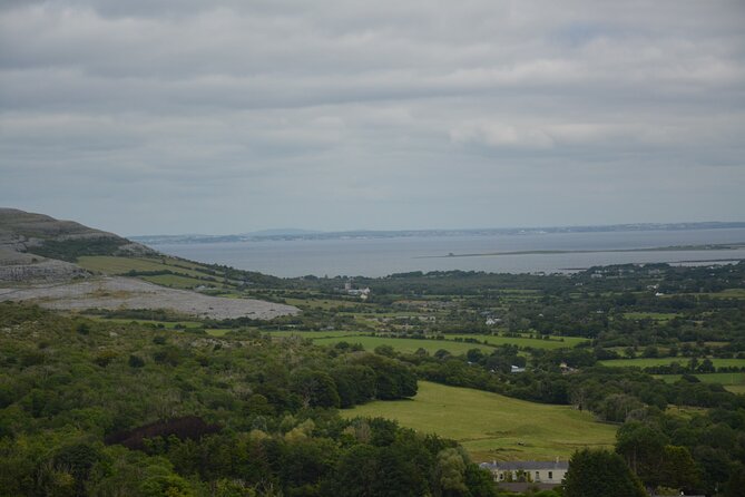 Cliffs of Moher, Burren and WAW Private Tour From Galway - Flexible Itinerary