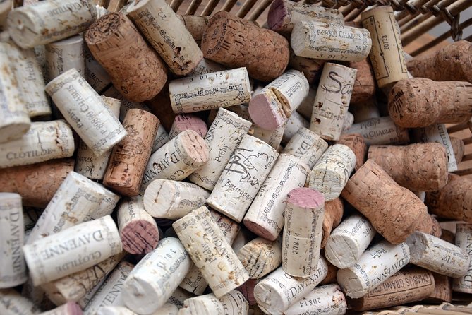 Clotilde Davenne Wine and Cheese Pairing Tasting in Chablis - Customer Feedback
