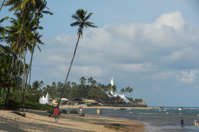 Coconut Coast and Praia Do Forte - the Famous Beaches - Exploring the Coconut Coast