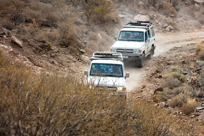 Cofete Sunset 4x4 Safari With Dinner in Punta De Jandia - Participant Recommendations