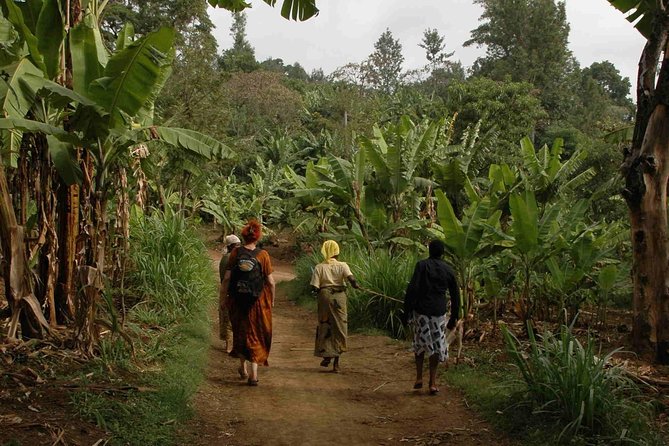 Coffee Walk With Stay in the Village - Customer Reviews and Ratings