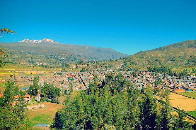 Colca Canyon 2 - Days From Puno To Arequipa - Reviews and Feedback