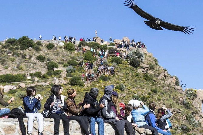 Colca Canyon Full Day + Buffet Lunch - Tour Details