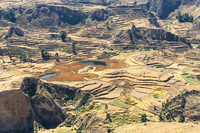 Colca Canyon Sightseeing Tour 2-Day 1-Night - Health and Accessibility Considerations