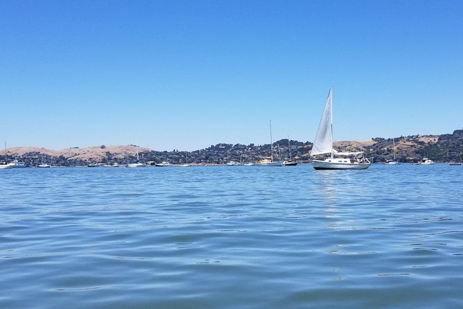 Combo Tour: Muir Woods, Sausalito and Sonoma Wine Country Tour - Pricing and Booking Information