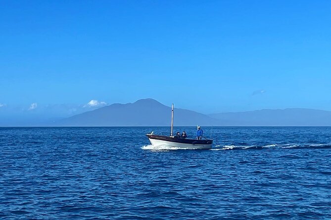 Complete Private Guided Two Hour Tour of the Coast of Capri - Tour Duration and Participants