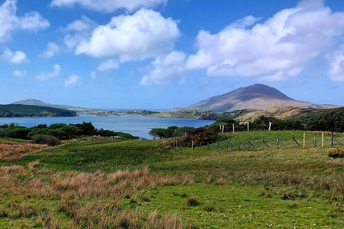 Connemara Sheep Farm Experience & Kylemore Abbey by Lux Limousine - Booking Information