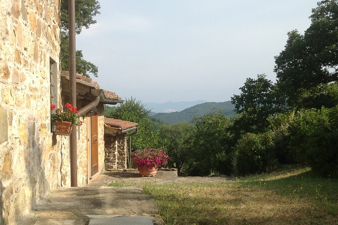 Cooking Class for Pasta Lovers in Florence Country House - Host: Cristina and Her Expertise