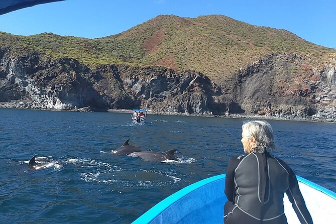 Coronado Island Adventure, Snorkeling & Picnic on the Beach - Cancellation Policy