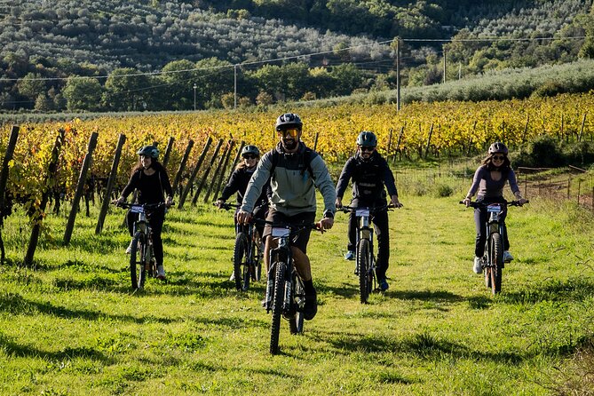 Cortona - Ebike Tour and Wine Tasting in the Val Di Chiana [40] - Booking and Meeting