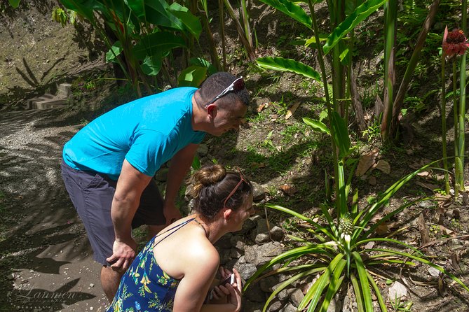 Couples Private St. Lucia Highlights Tour - Castries Market