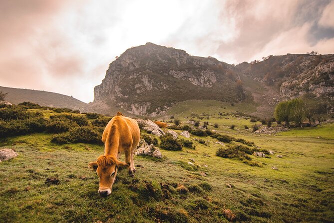 Covadonga Lakes, Sanctuary and Cangas De Onís From Santander - Potential Itinerary Changes