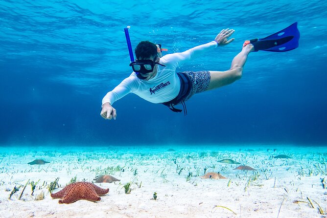 Cozumel Starfish and Tropical Reef Snorkeling by Powerboat With Lunch - Participant Requirements