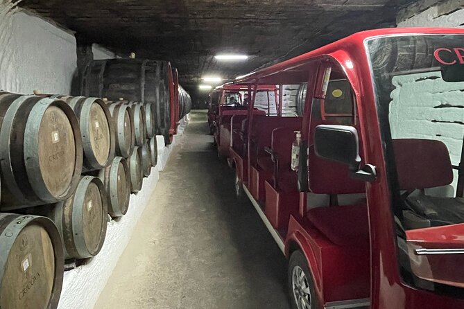 Cricova Cellars - Visit and Tasting Session - Practical Considerations for the Tour