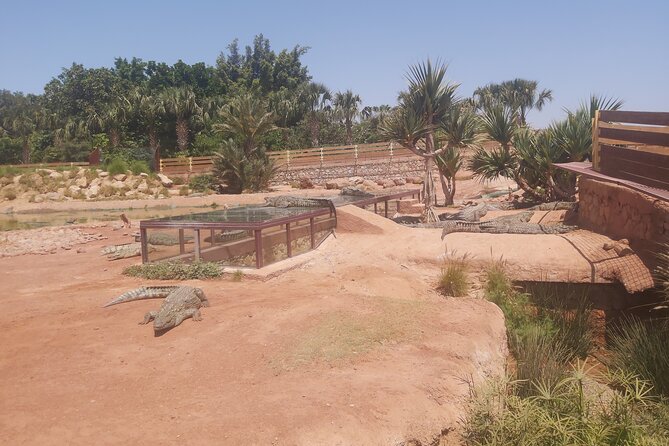 Crocodil Park Transport and Crocoparc Ticket - Recommended Visit Duration