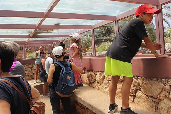 Crocoparc Tour in Agadir - Tour Inclusions and Pricing