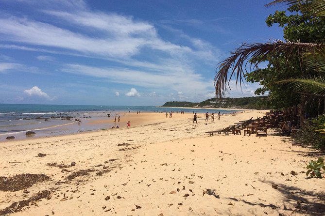 Crown Red - Discovery Coast - Day Trip From Porto Seguro - Beach Activities