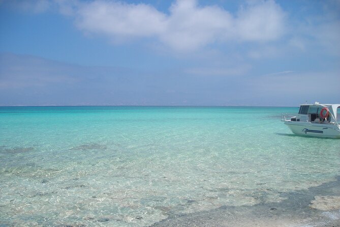Cruise to Chrissi Island With Lunch Included - Pricing