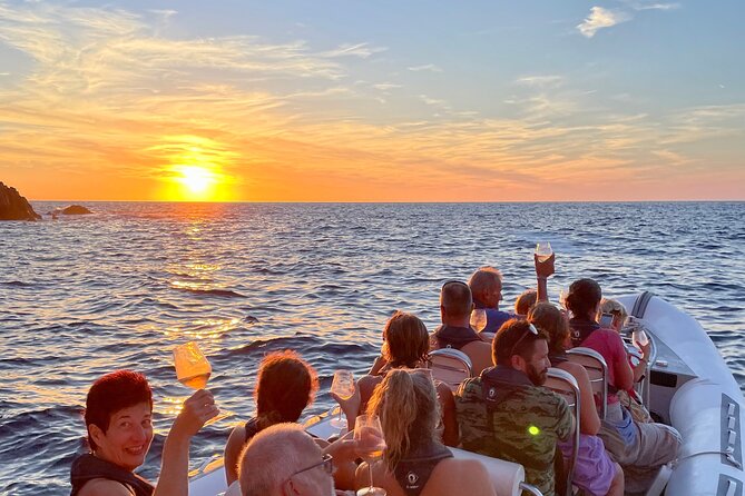 Cruise to Scandola Calanques De Piana 12-Seater Boat - Health and Safety Guidelines