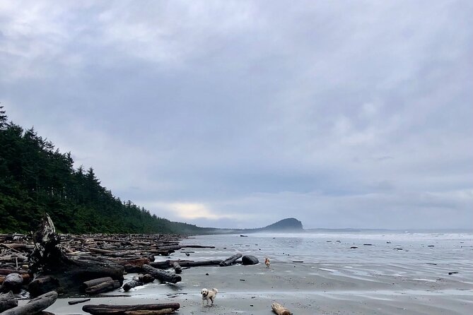 Cultural Immersion & Holistic Wellbeing on Haida Gwaii - Cancellation Policy and Pricing