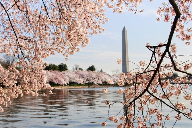 D.C. Cherry Blossoms: Escorted Bus Tour From Toronto - Departure and Arrival Locations