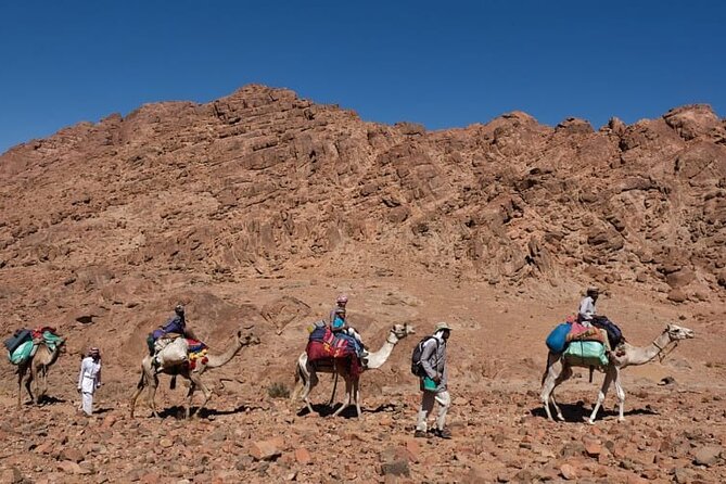 Dahab Blue Hole and Towailat Mountain - Reviews and Feedback