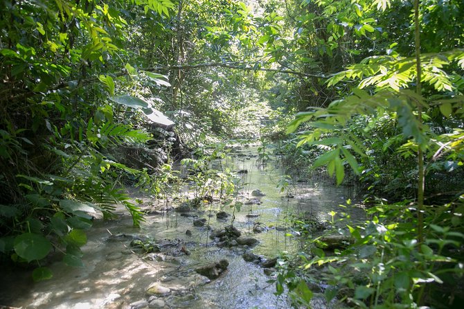 Damajagua Waterfalls Adventure - Reviews and Feedback